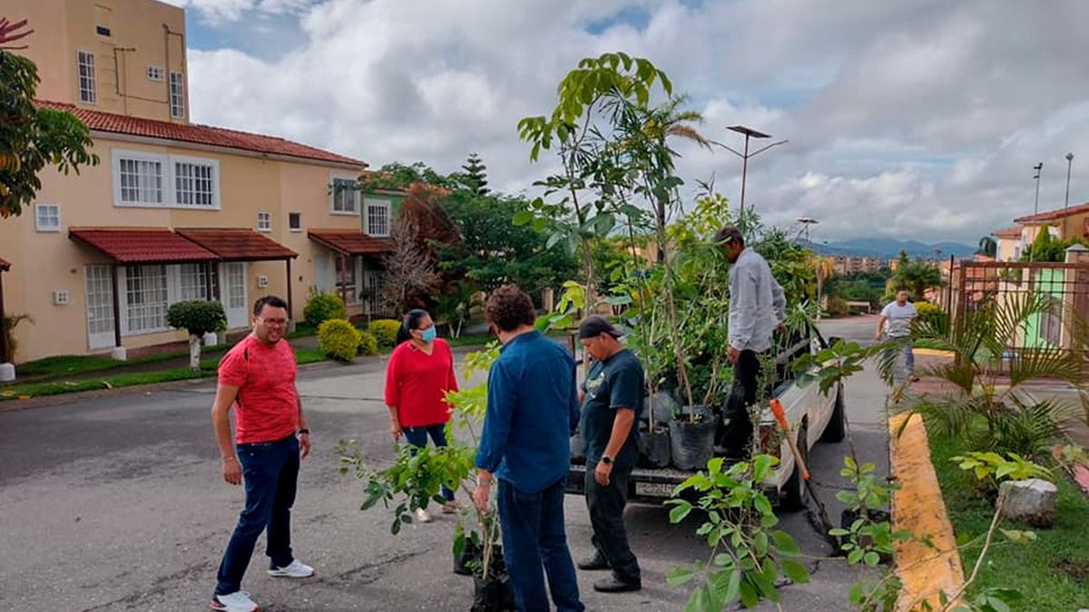 24 Morelos Temixco Reforestación Urbana