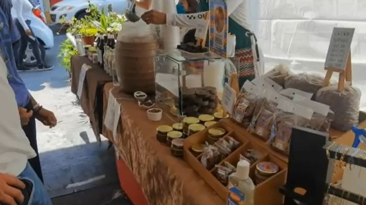 Visita la Expo Artesanal Cuernavaca Vive