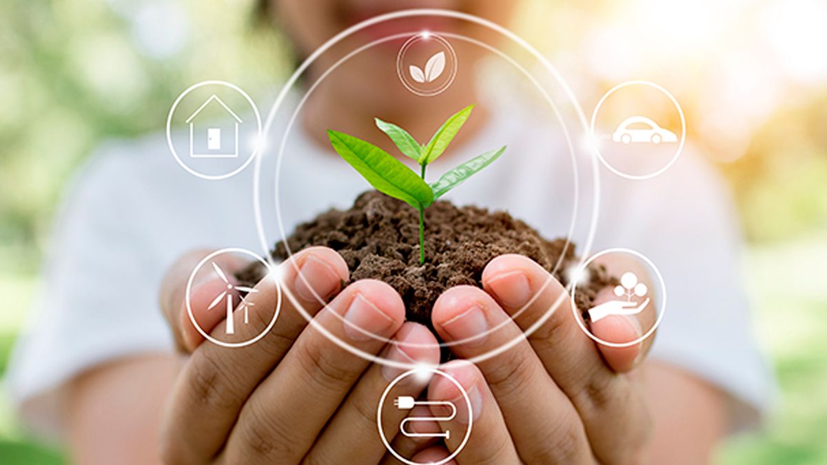 Minería moderna en México trabaja en minimizar huella ambiental