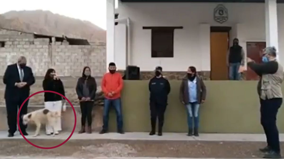 Perrito orina a Presidenta Municipal durante discurso