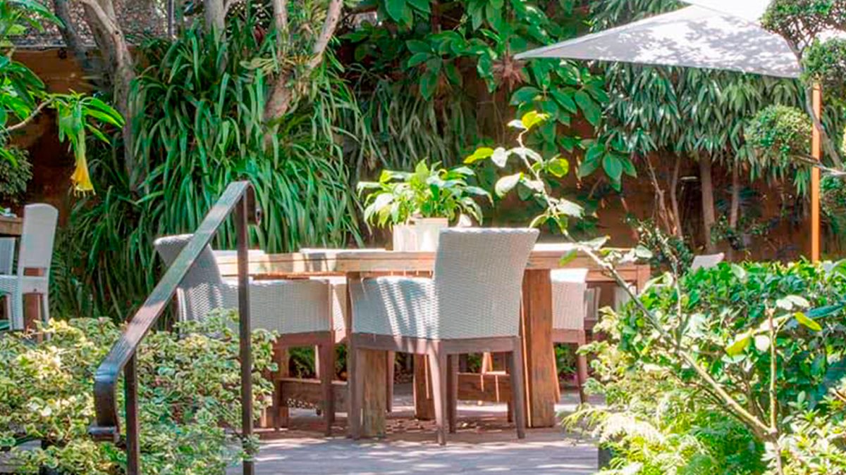 24 Morelos Restaurantes Cuernavaca