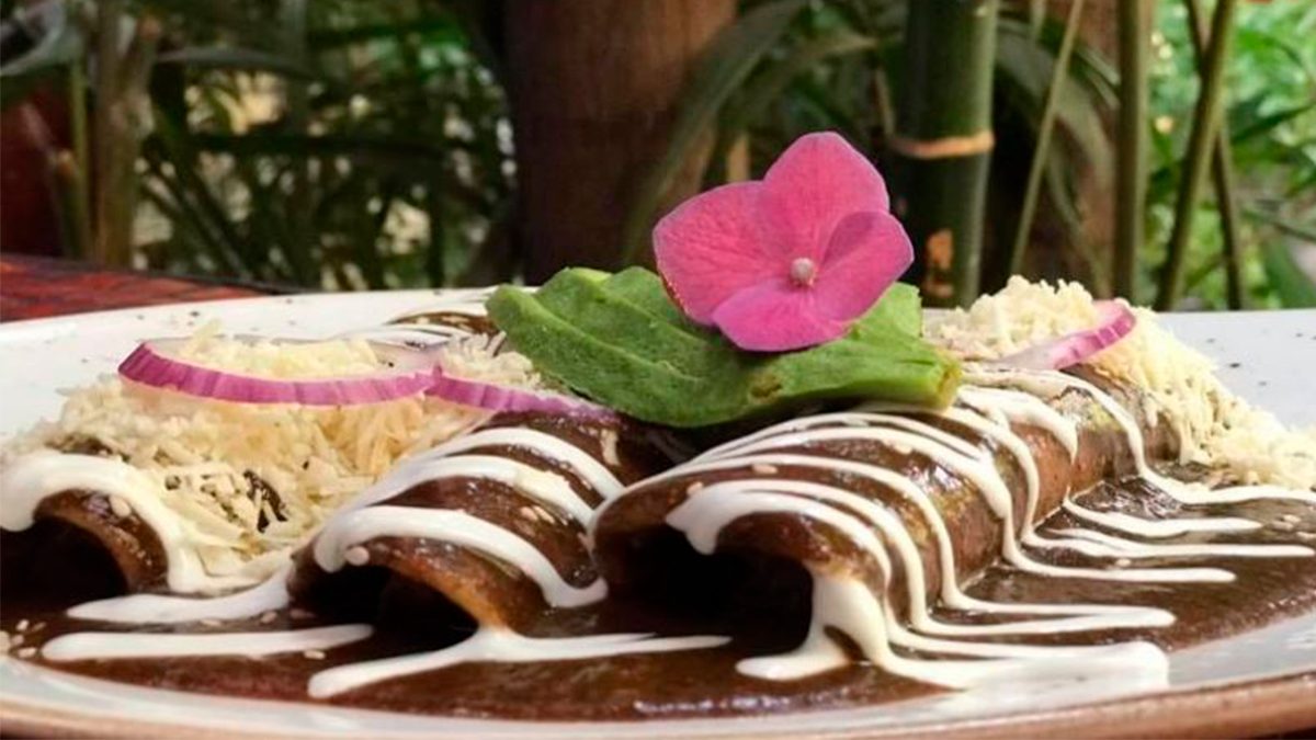 24 Morelos Enchiladas