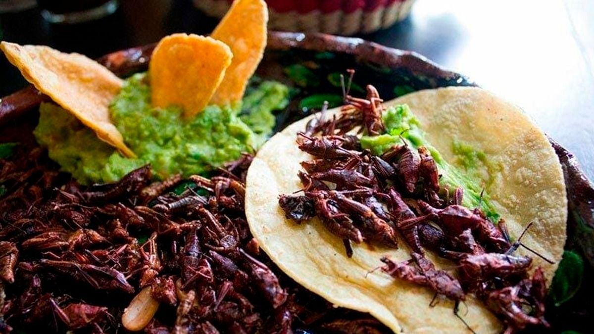 ¿Has probado la comida prehispánica en Tepoztlán?
