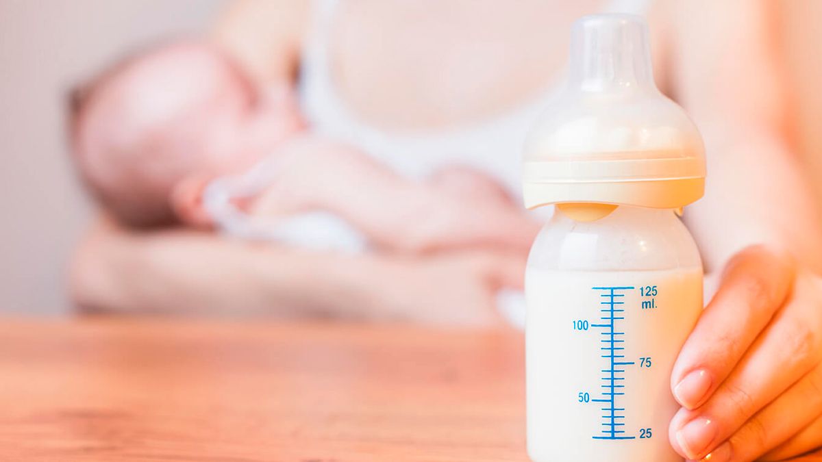 ¿Cuáles son las alternativas de la lactancia materna?