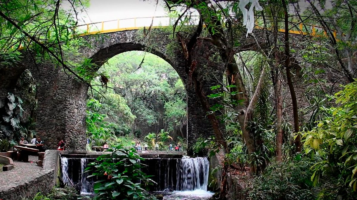 24 Morelos Parque Chapultepec