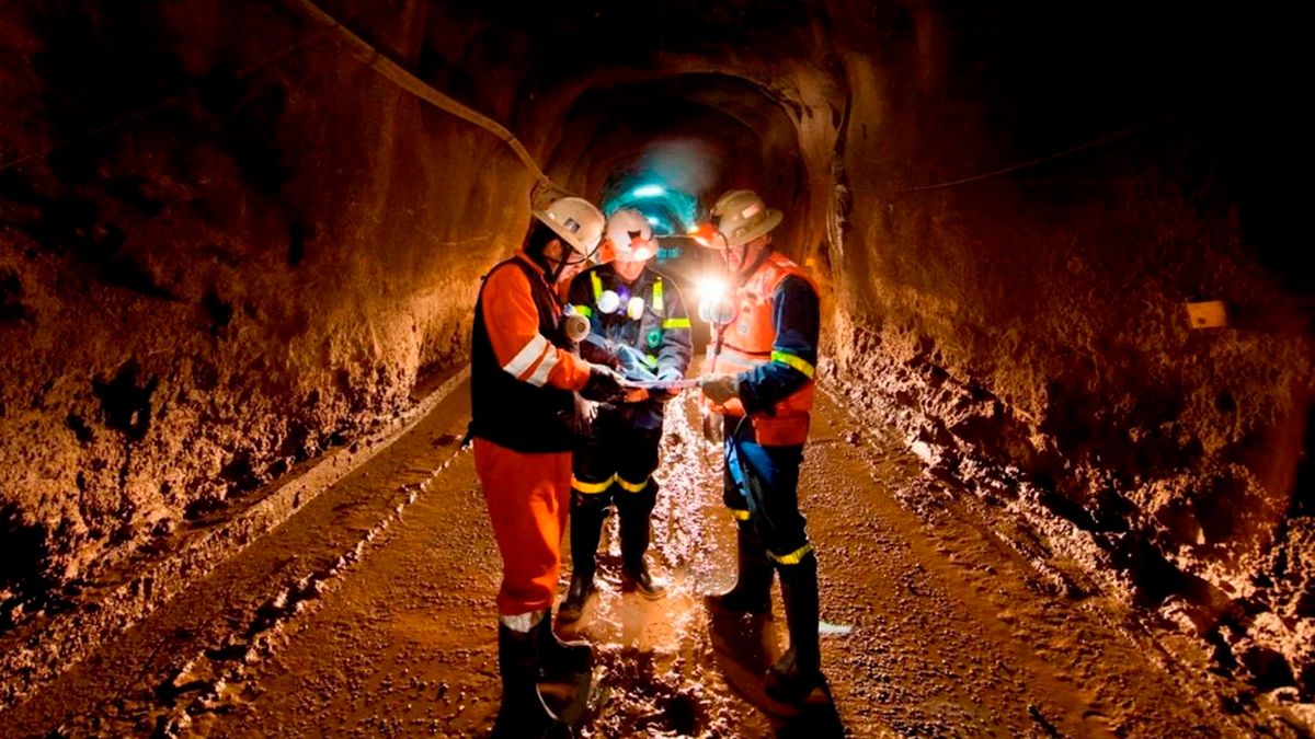 Incrementa Camimex empleos durante 2021