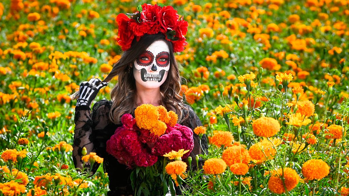 Día de Muertos Cempasúchil