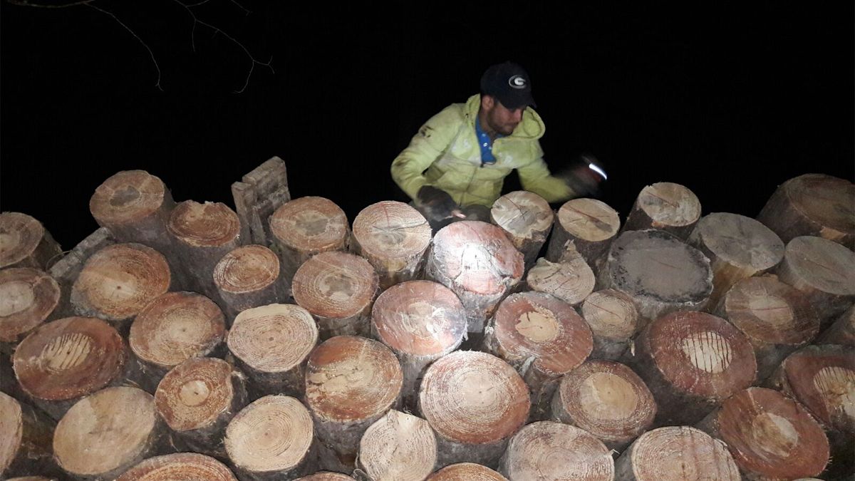 Pobladores enfrentan a talamontes ante la falta de autoridad