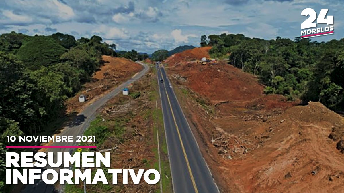 ¿Cuándo plantarán los árboles que cortaron en Tepoztlán?