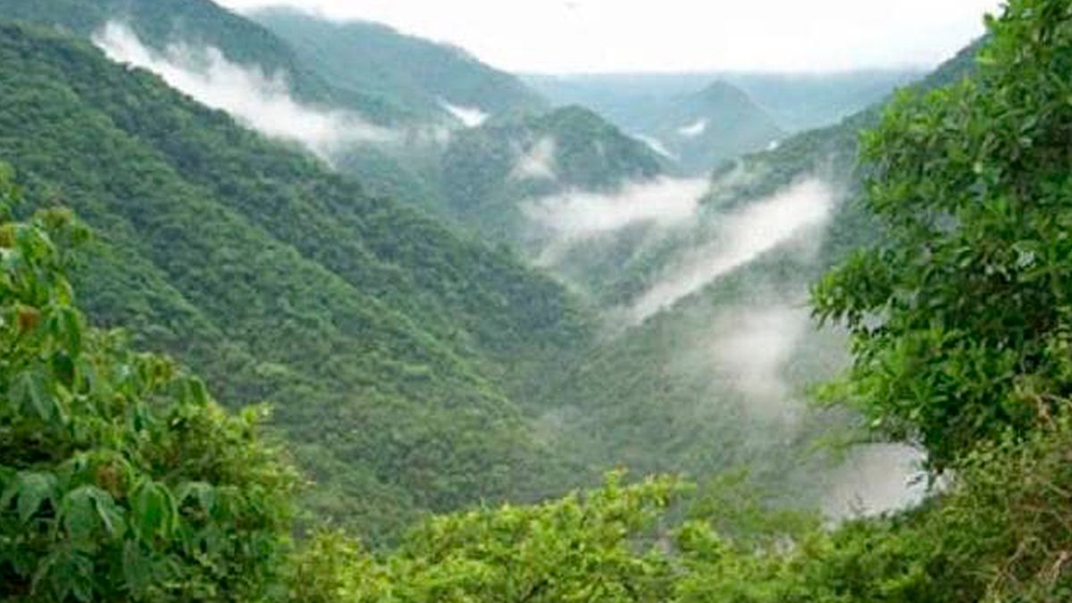 Aprueban sentencia a favor de Oaxaca en los Chimalapas