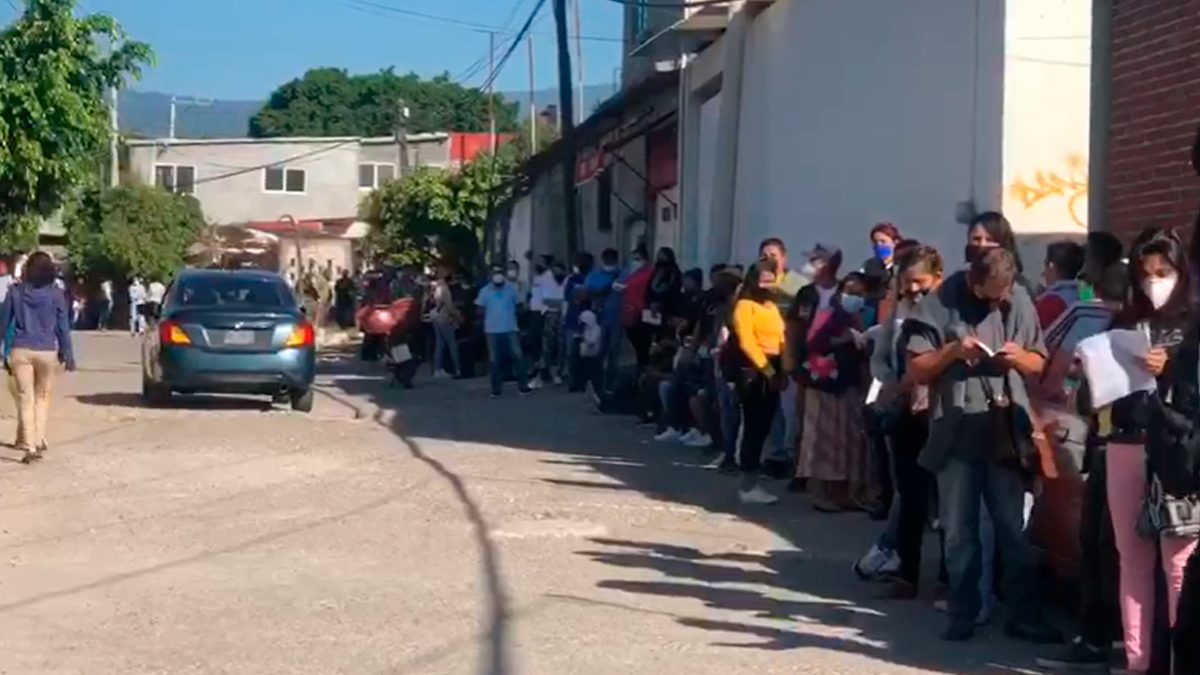 Vacunación rezagados