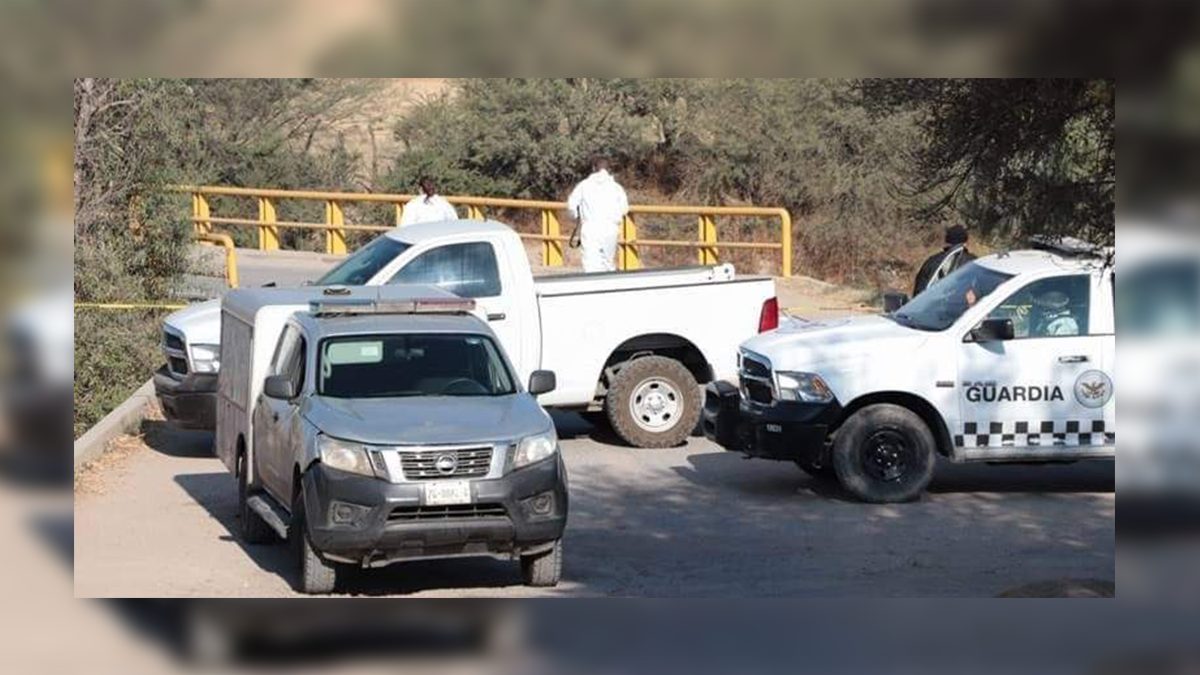 Hallan 8 colgados más en Zacatecas