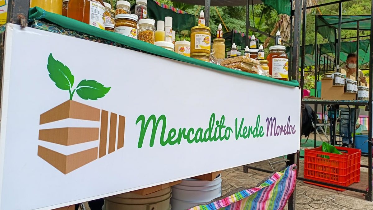 Realizarán la edición número 76 del Mercadito Verde Morelos