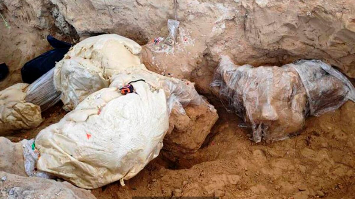 Hallan restos de mamut en Puebla