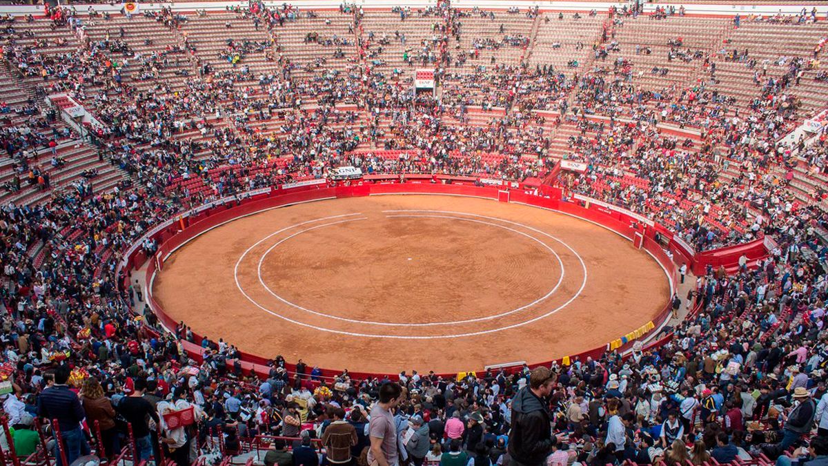 Prohibirán corridas de toros en CDMX