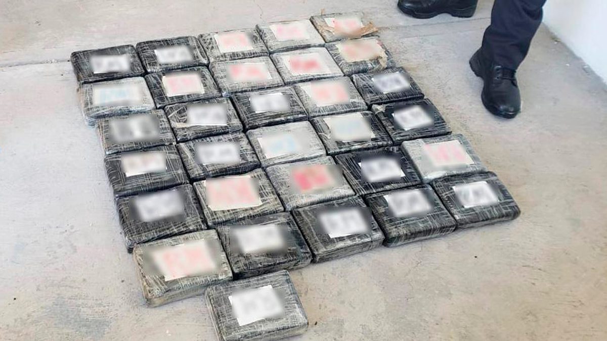 Aseguramiento de droga demuestra trabajo de la GN: Flores Bustamante