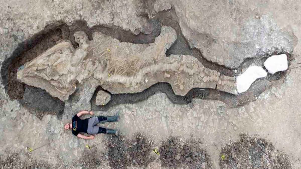 Encuentran el fósil de un dragón marino