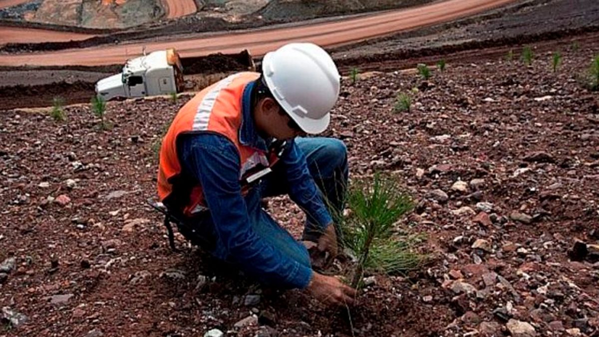 Recursos de la minería deben retornar a las comunidades: Senado
