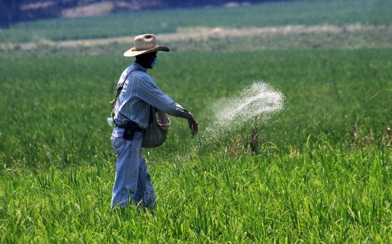 Lamentan que recurso destinado para el campo sea insuficiente