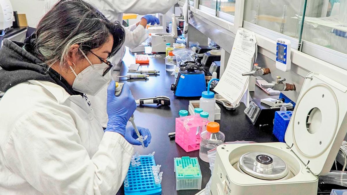 Crea UNAM biosensor para detectar Covid-19