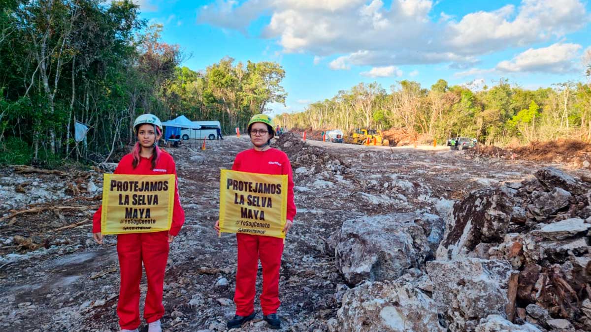 Demanda GreenPeace la suspensión inmediata del tramo 5 del Tran Maya