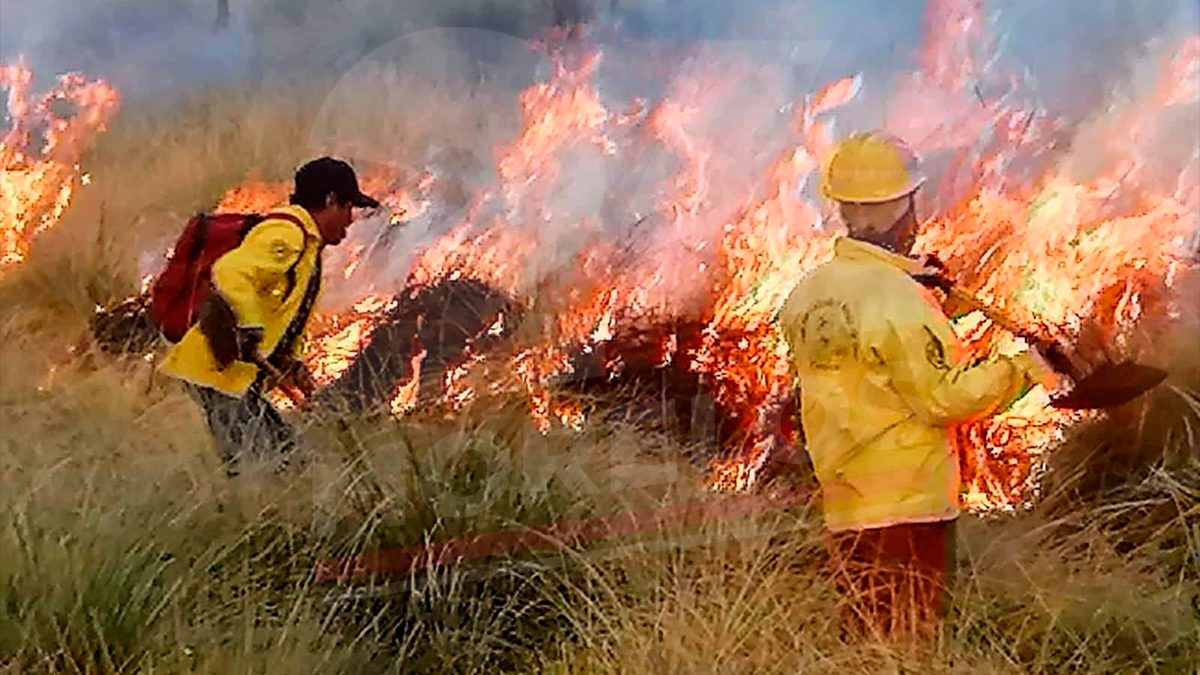Presentó brigadista voluntario una crisis nerviosa en Tepoztlán