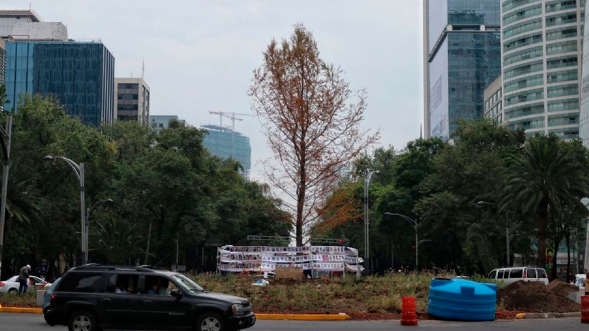 Recomienda Sedema no visitar el Ahuehuete de Refoma