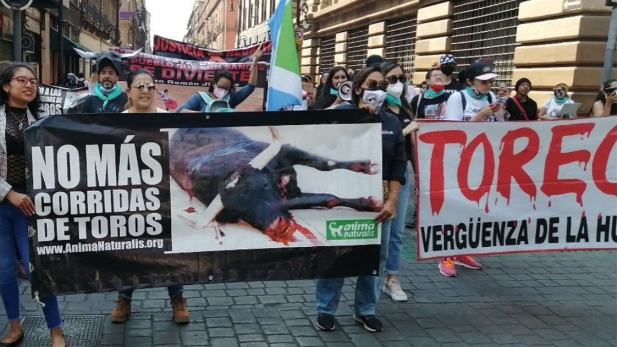 SCJN rechaza que Estados puedan declarar la tauromaquia como “patrimonio cultural”