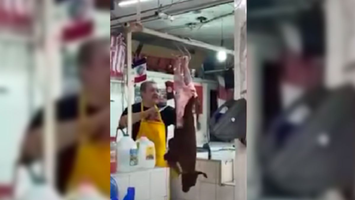 Difunden a carnicero desollando a perro en mercado de Sonora