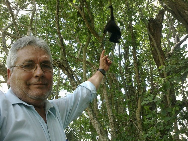 México: Asesinan en México a José Luis Álvarez Flores, ecologista y  defensor del santuario del mono saraguato | Público