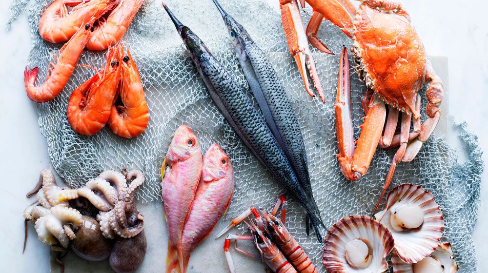 Qué diferencias hay entre pescados y mariscos?