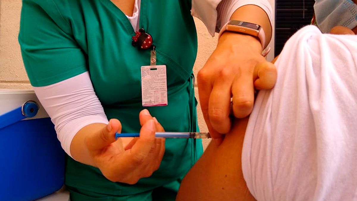 24 Morelos vacuna