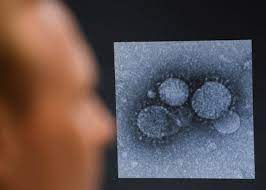 Reaparece coronavirus MERS, más letal que el covid-19, en Qatar y Omán -  Noticias de Querétaro - Querétaro 24-7